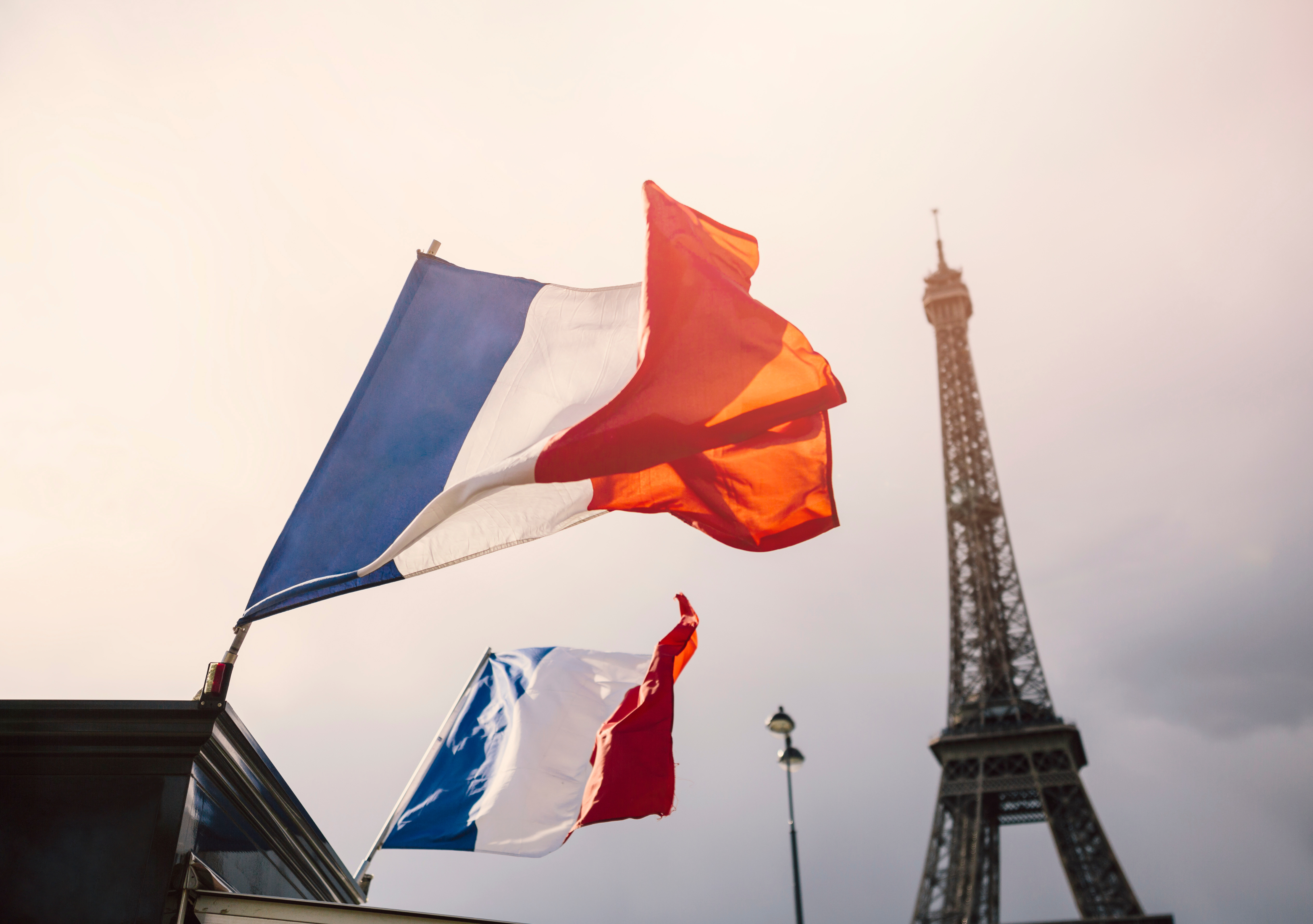 francia bandiera francia bandiera